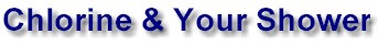 ChlorineandShowerHeader.jpg (7617 bytes)