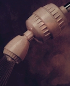 showerfilter.jpg (19671 bytes)